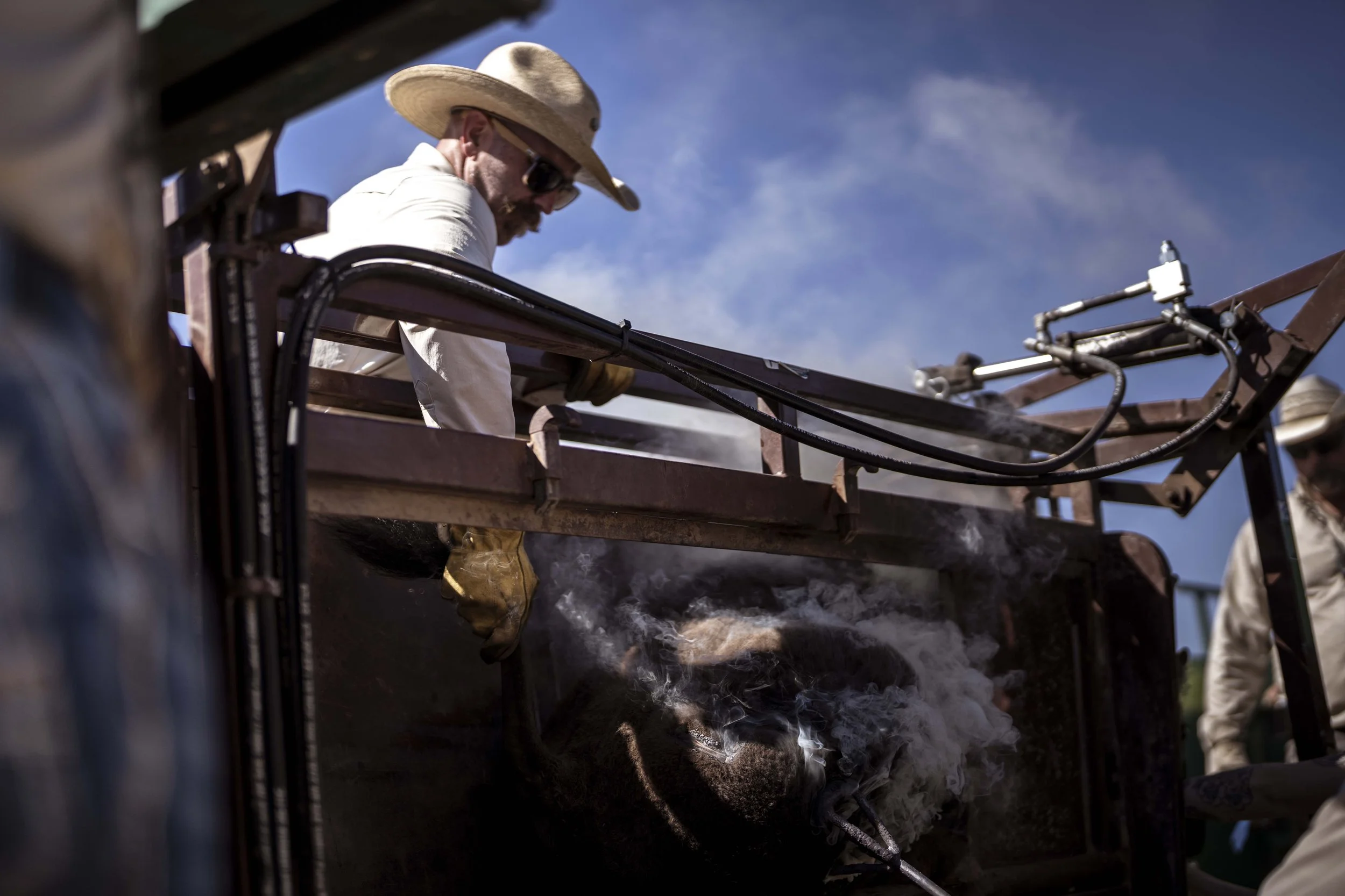 BuffaloRoundup-Branding-CSP-20240927_ByronBanasiak-96.jpg