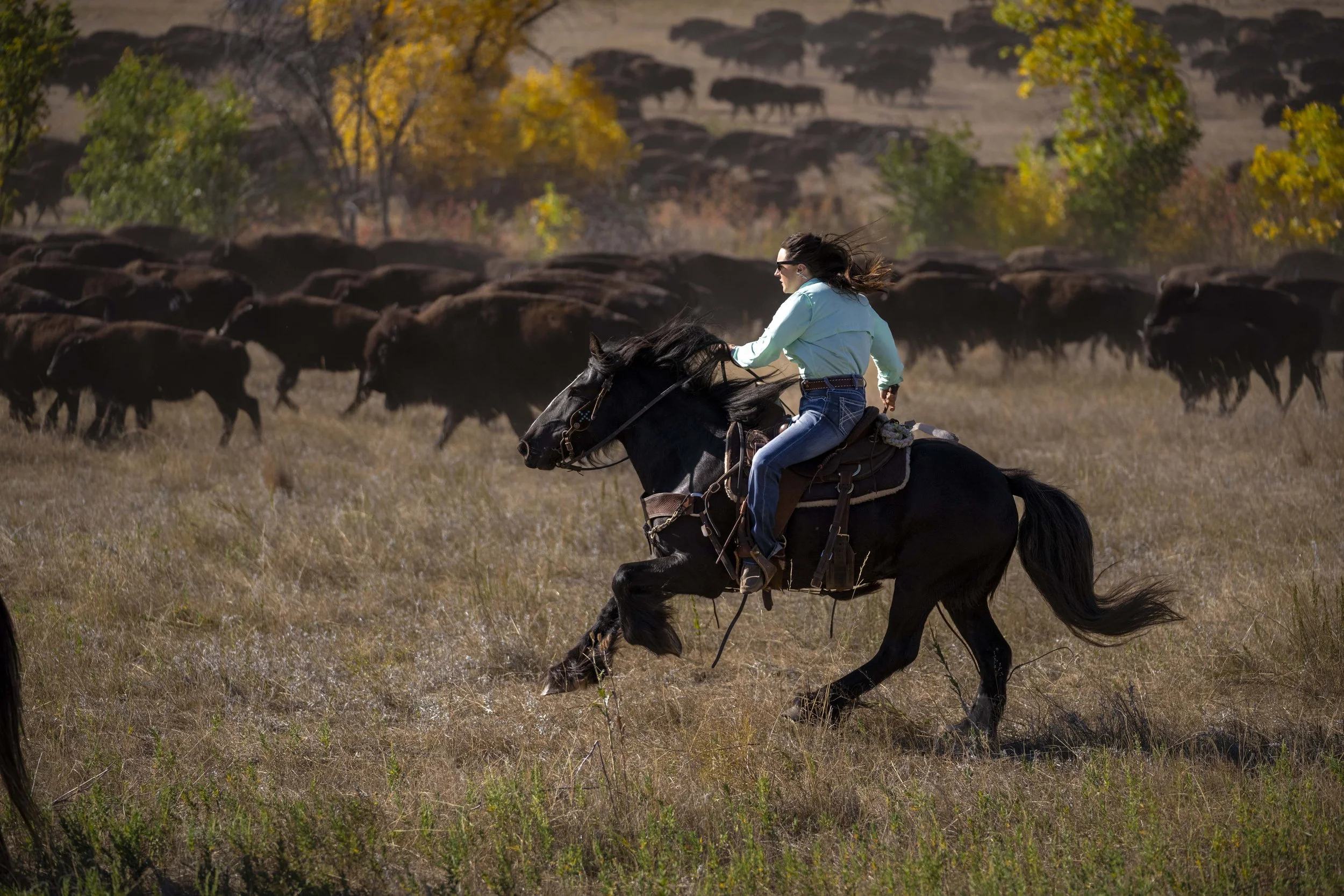 BuffaloRoundup-CSP-20240927_ByronBanasiak-69.jpg