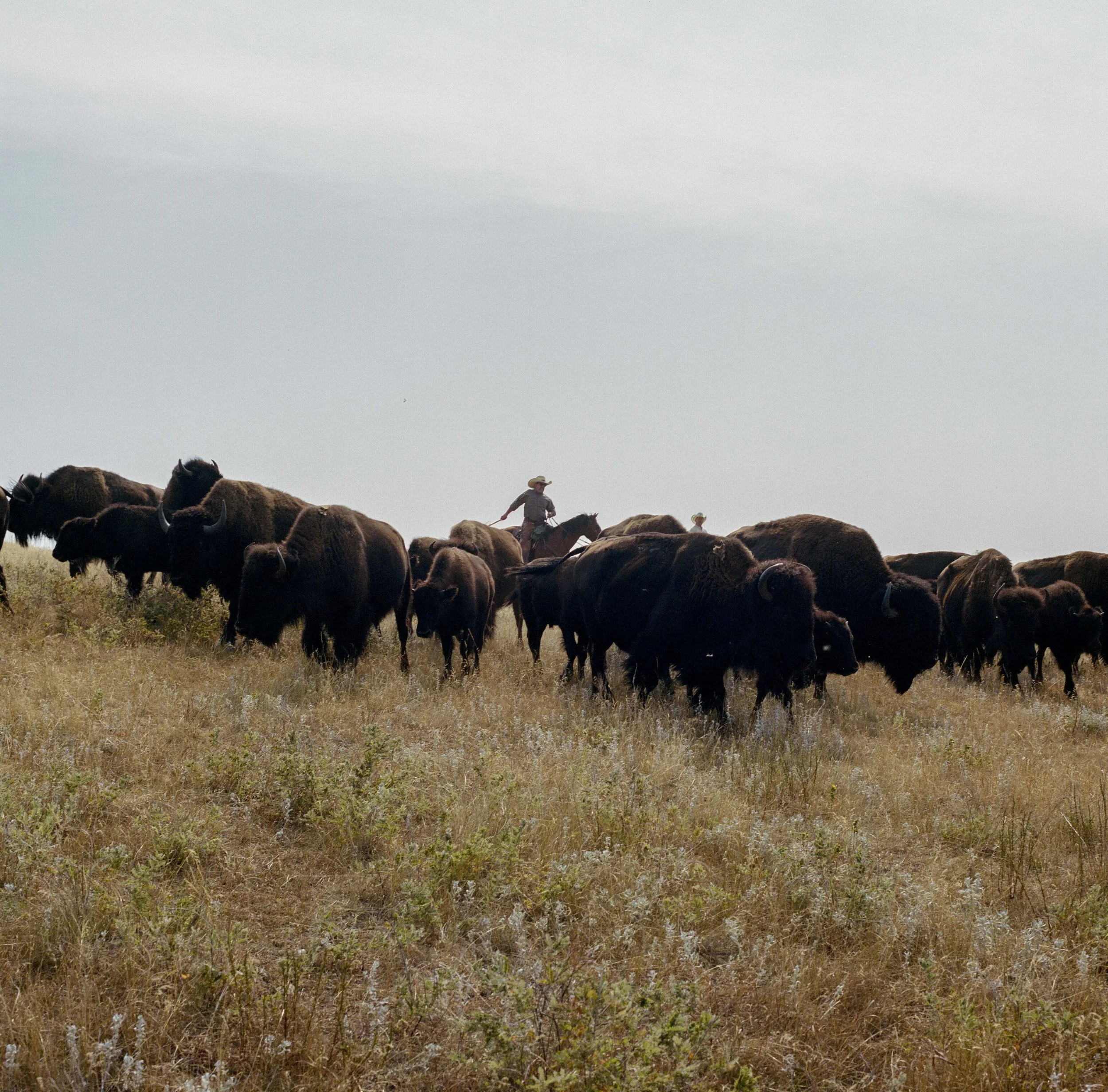 Pre-Roundup-Medium-Format-23.jpg