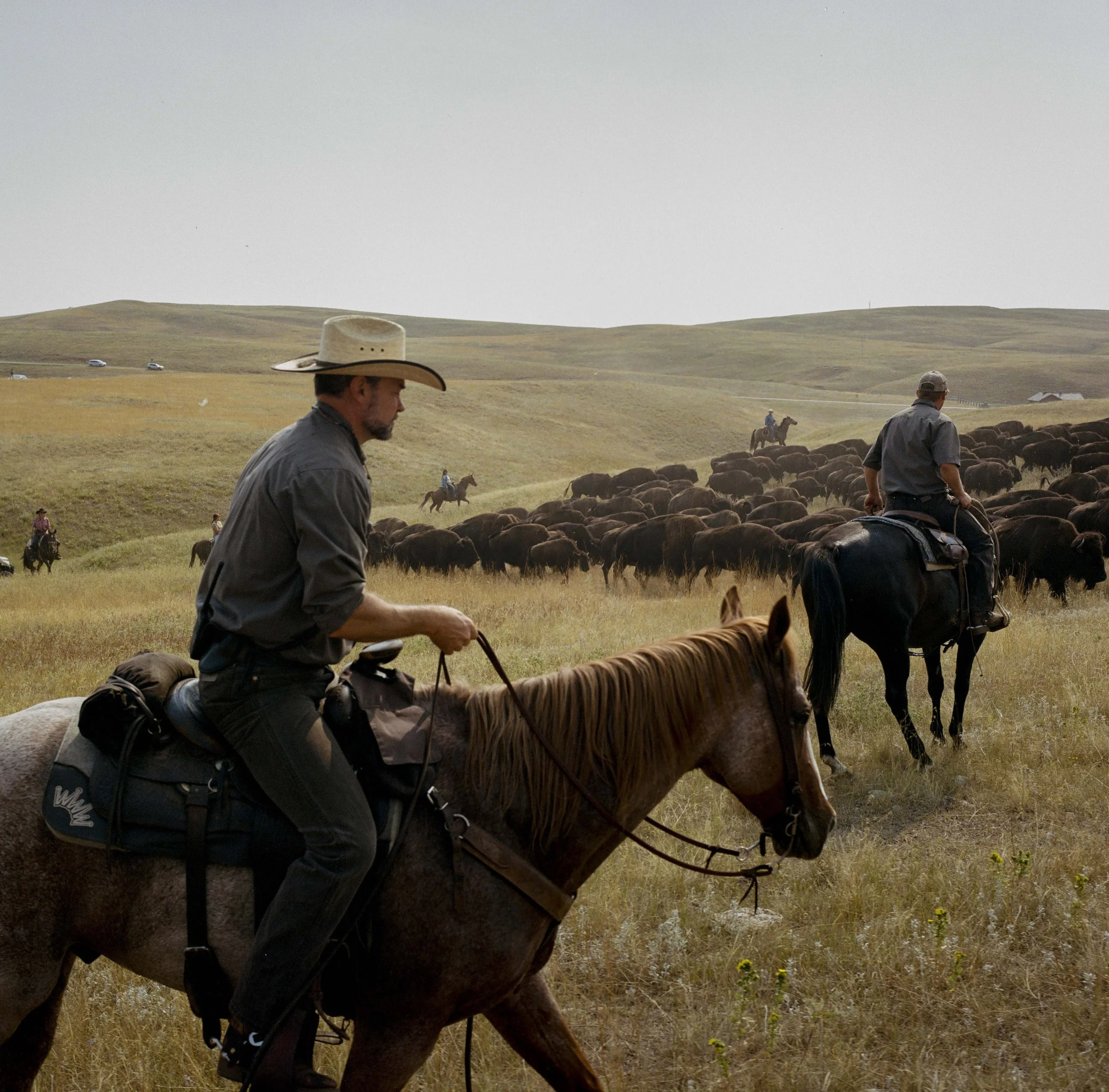 Pre-Roundup-Medium-Format-11.jpg