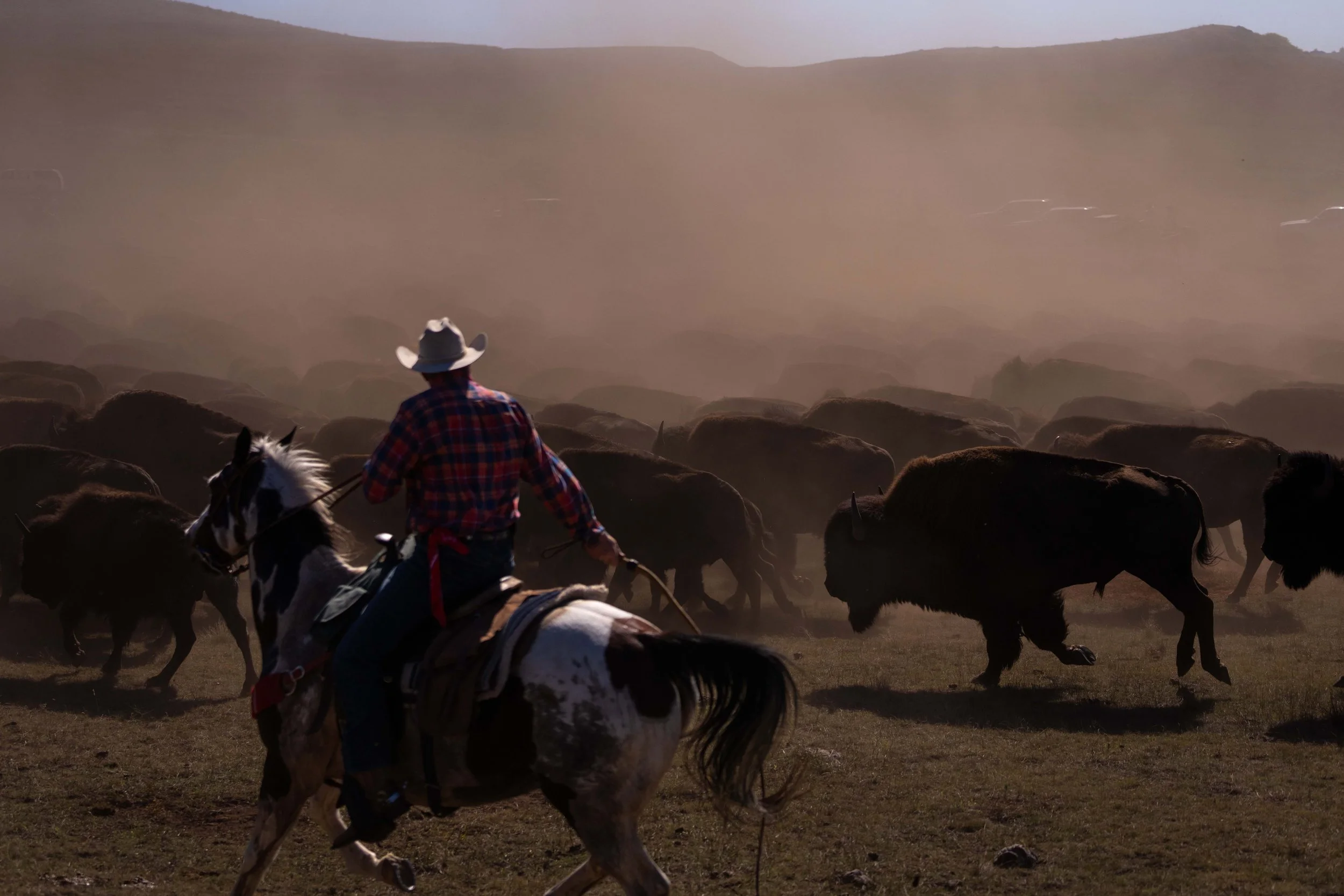 BuffaloRoundup-CSP-20250926-ByronBanasiak-30.jpg