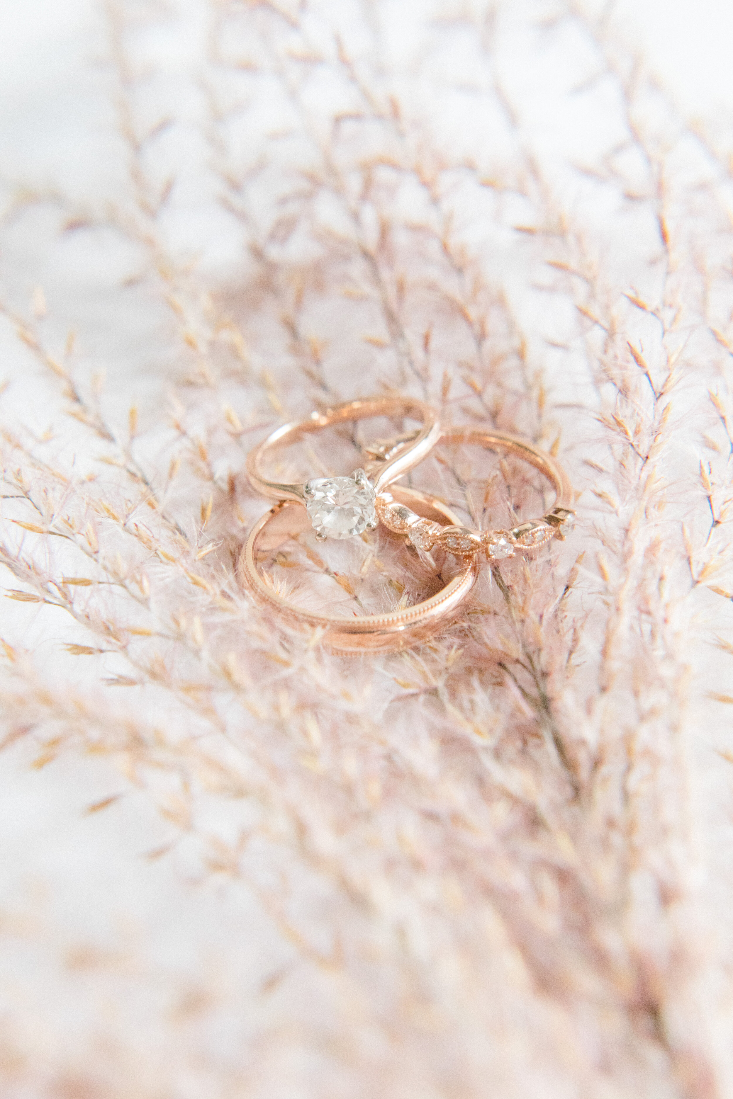 Kristen+AndyWedding_SaltAndCedarPhotography2019_0025.jpg