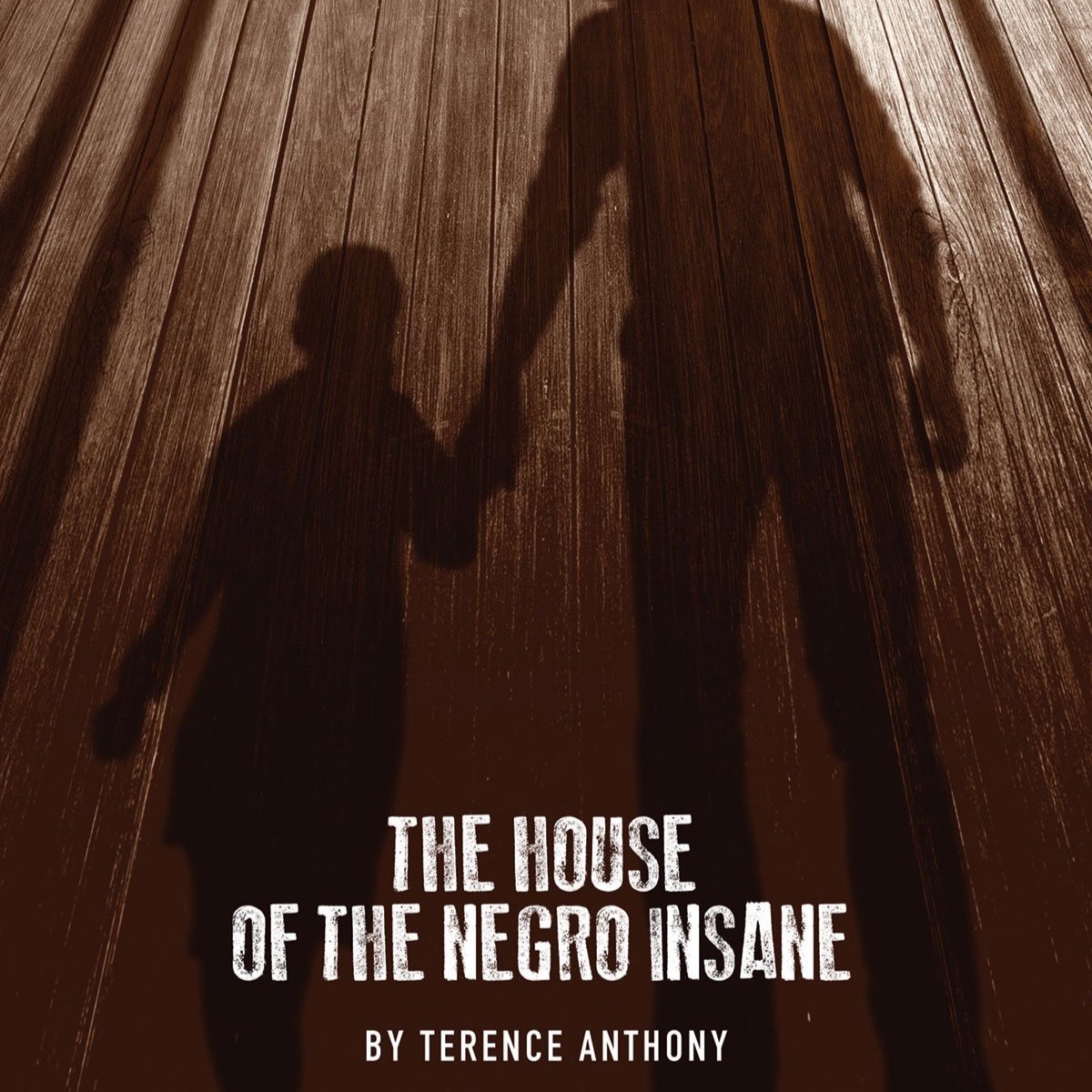 The House of the Negro Insane
