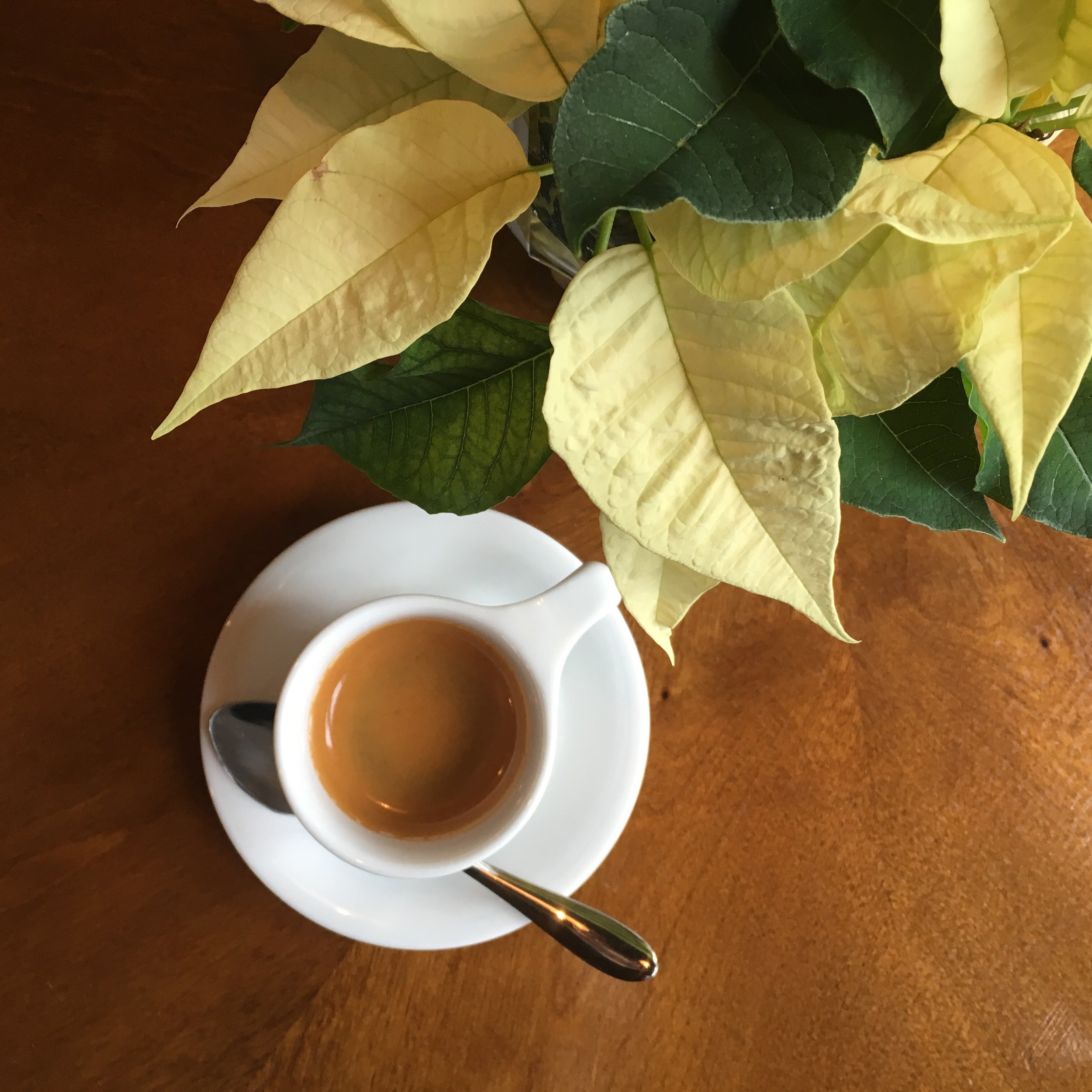 FairPour Cafe serves the highest-quality espresso from Glen Edith Roasters in Rochester, NY