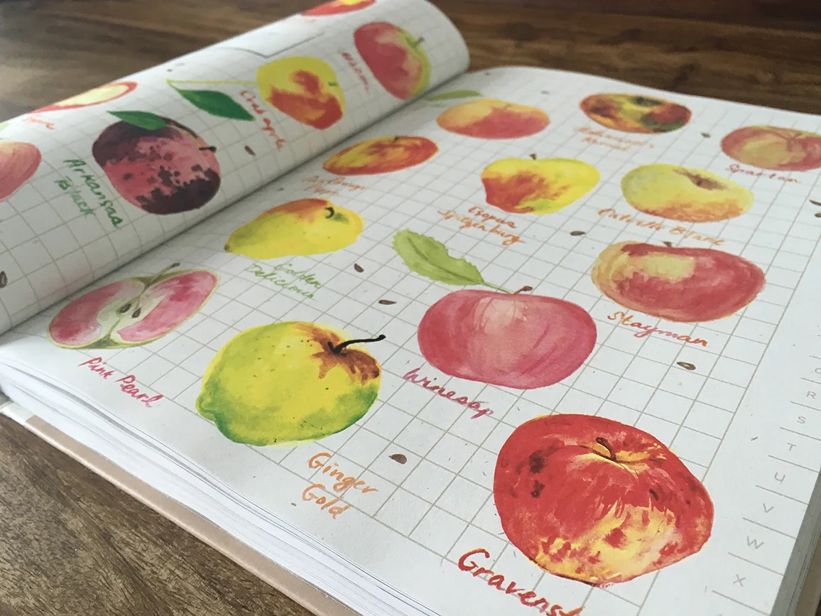 apples2.jpg