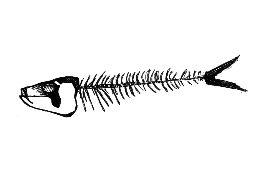 FISH-SKEL.jpg