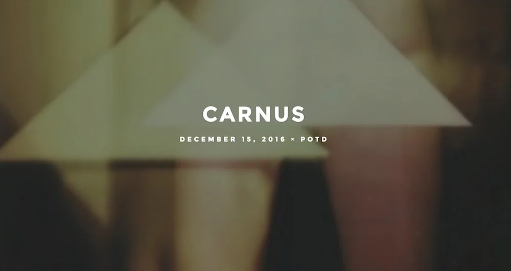 CarnusMicroFestival.jpg