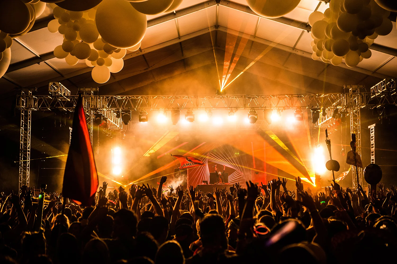 firefly_music_festival_photographer2.jpg