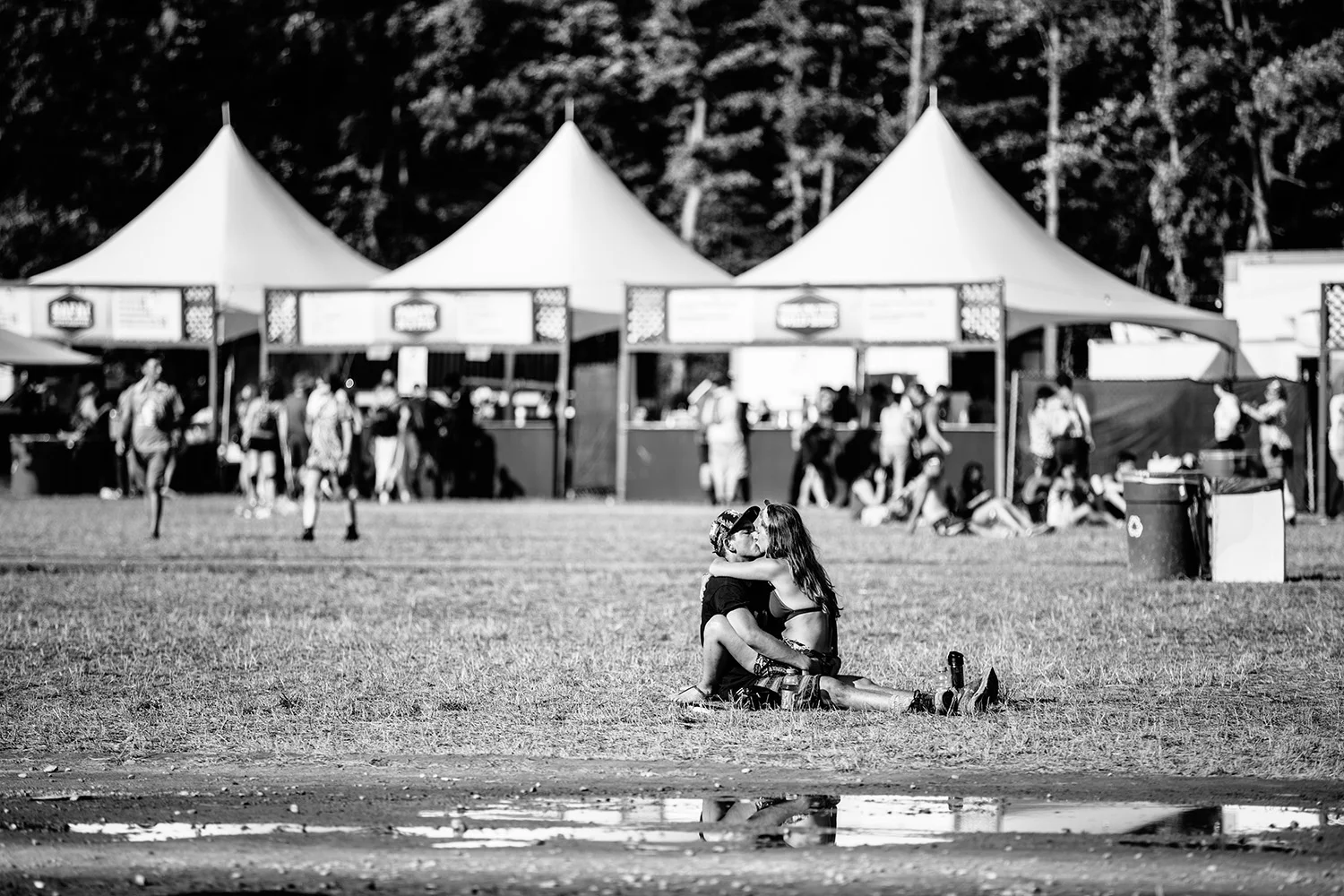 firefly_music_festival_photographer4.jpg