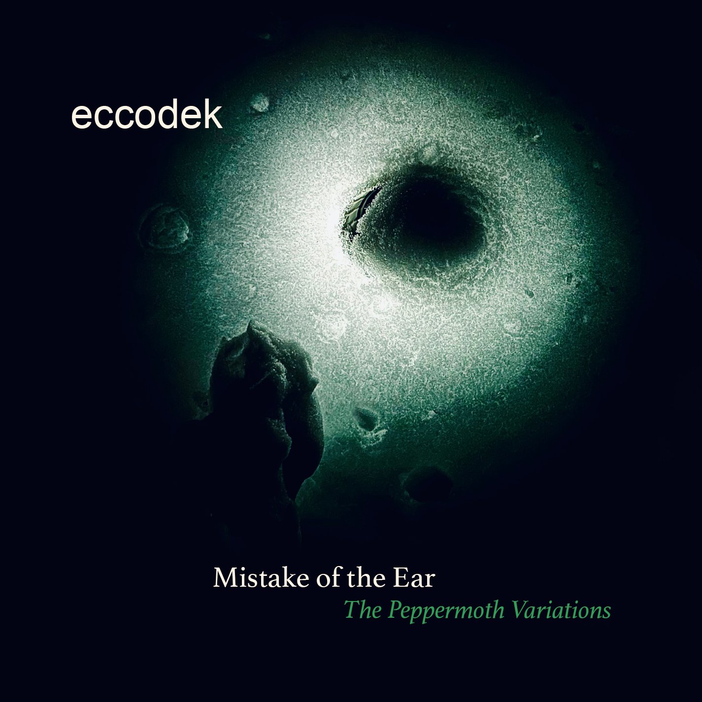 Eccodek_Mistake of the ear.jpg