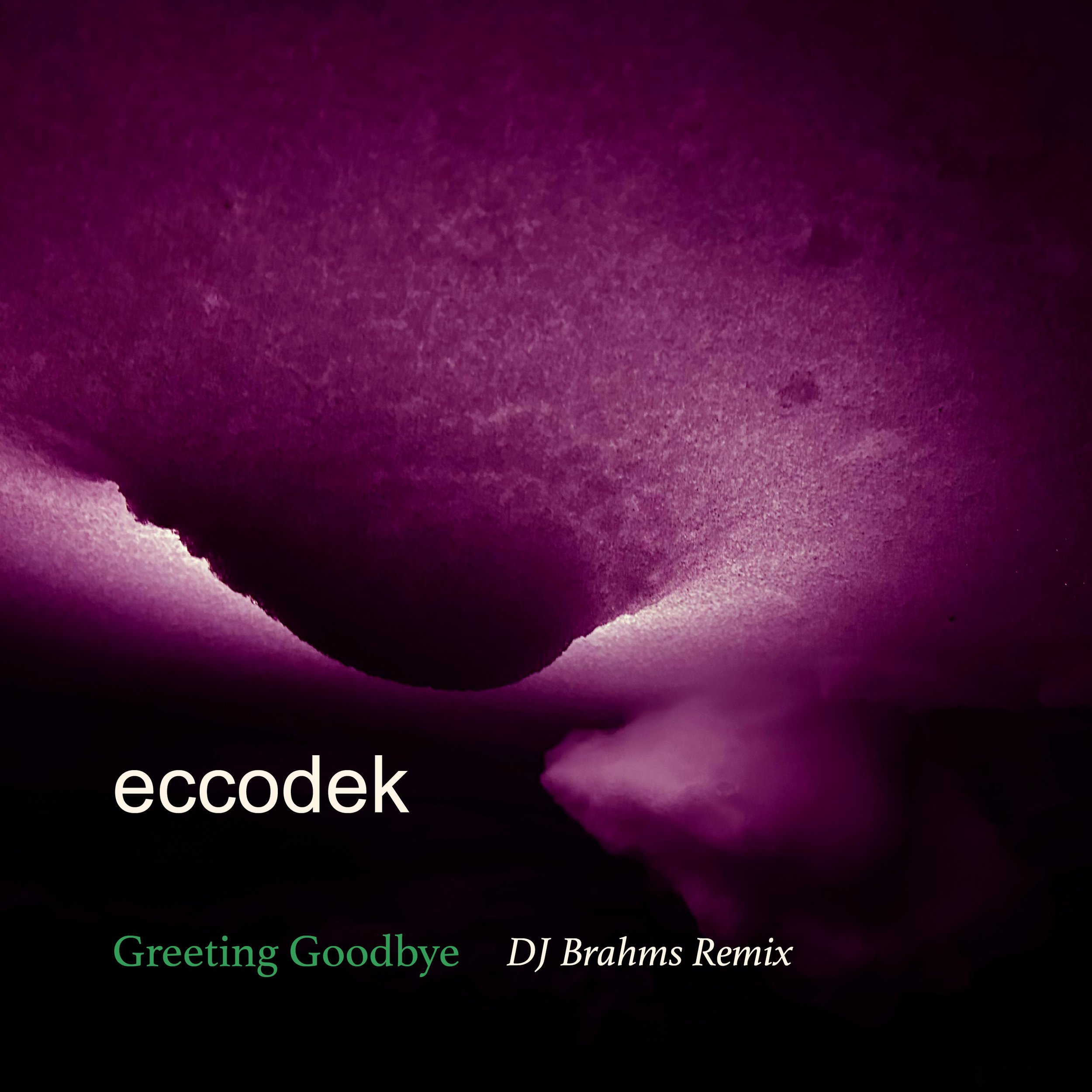 Greeting Goodbye Remix.jpg