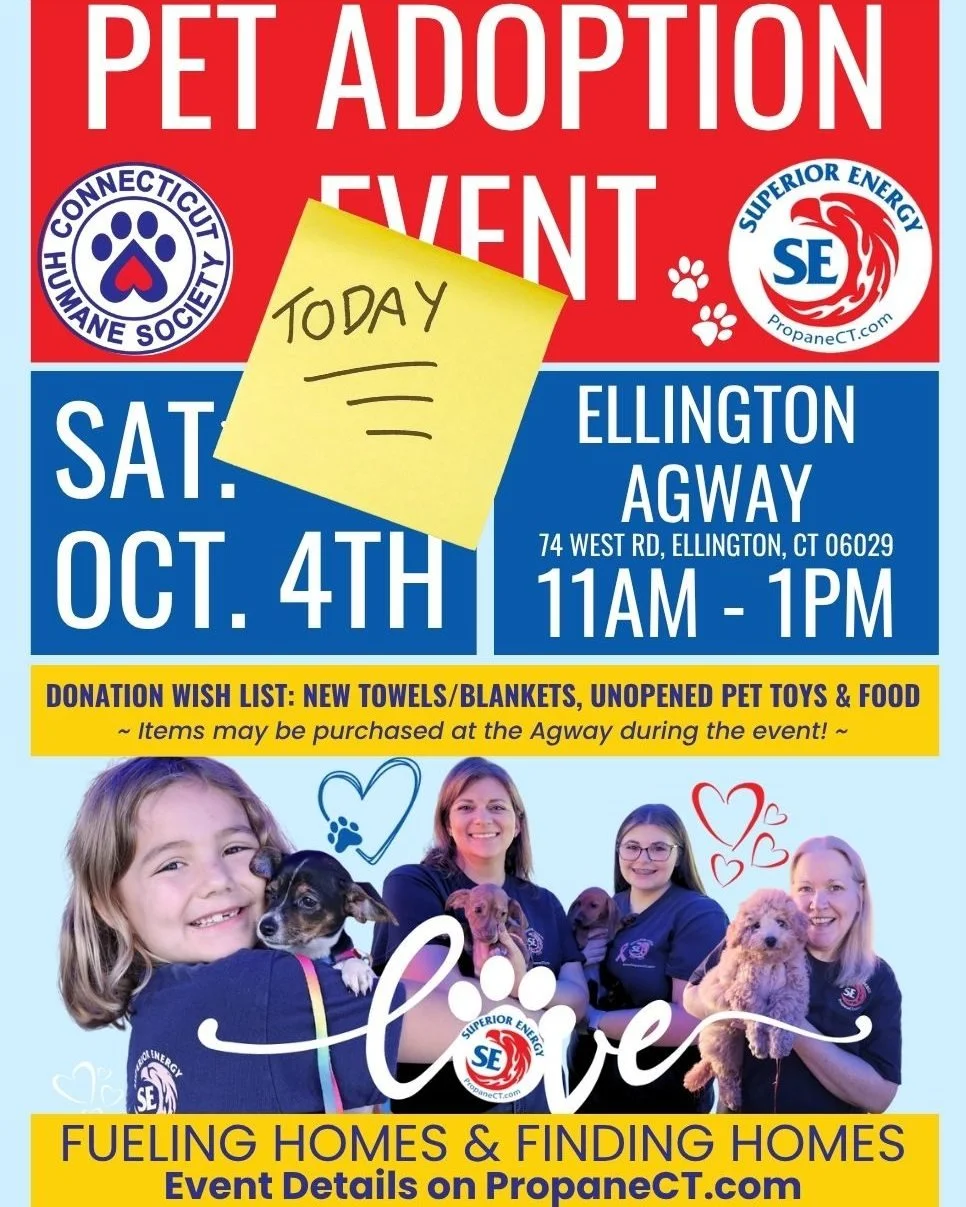 Happening NOW! Join us at our Pet Adoption Event @ellingtonagway 

Can't make it in person? 🎙️ Father John &amp; @savino50 will be broadcasting live on WJMJ Radio 88.9 FM (listen here: https://player.cloudradionetwork.com/wjmj/)

Let's find all the 