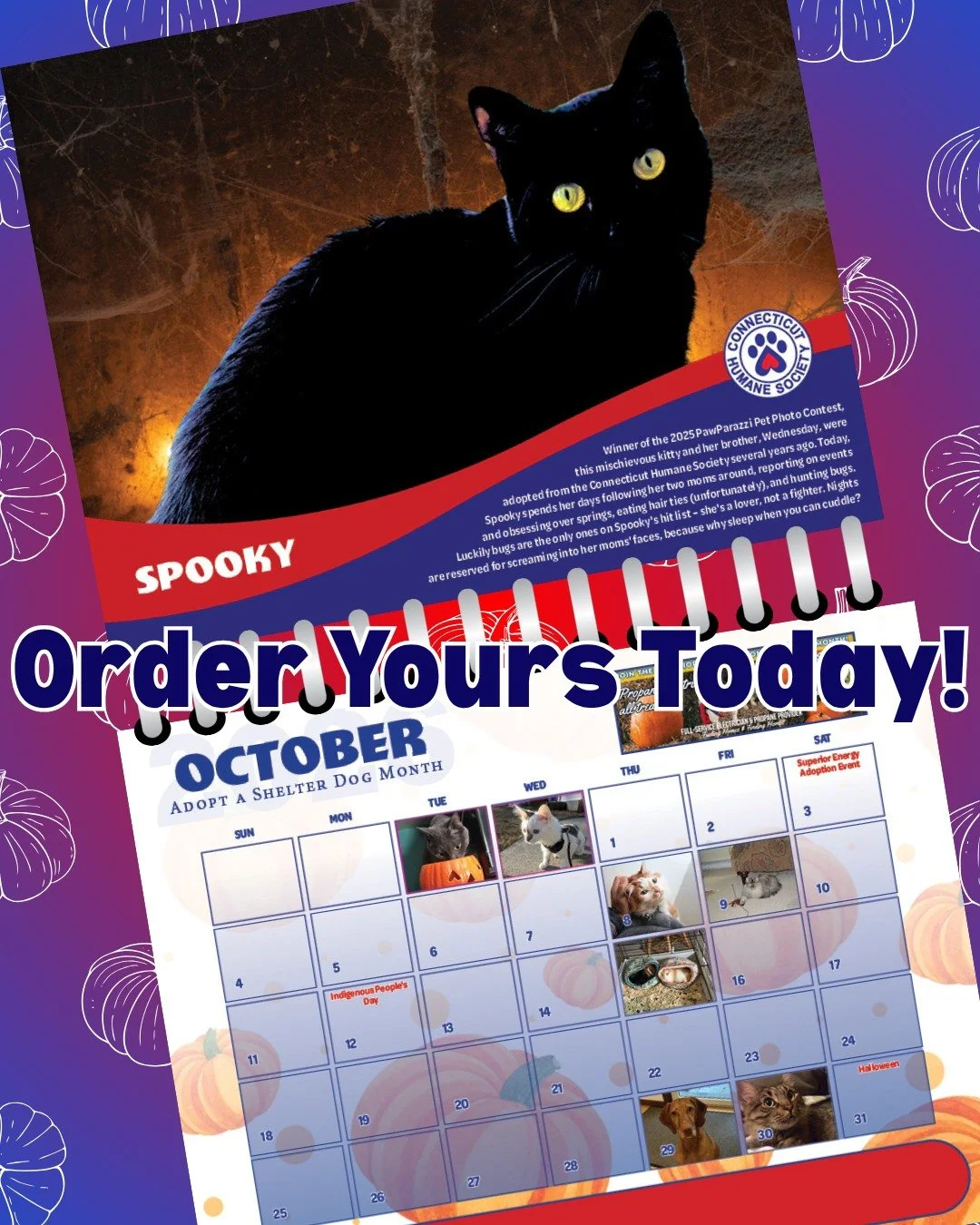 ⌛ LAST DAY to order! 2026 Calendar sales close NOON TODAY! FRIDAY 10/24 ⏰

Enjoy cute faces all year long AND support pets in need. Calendars will ship out the first week of December, which means this is the purrfect way to give back to pets and stoc