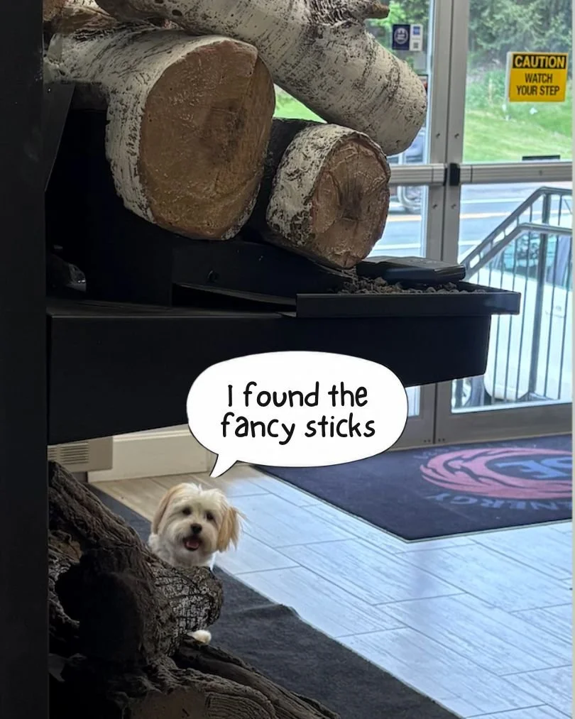 Spotted: Caesar in his favorite cozy office spot by the gas logs, fully embracing his role as tiny comfort consultant. 🐶🔥
Wishing you a wonderful weekend from Superior Energy. Now go fetch some fun! 🪵