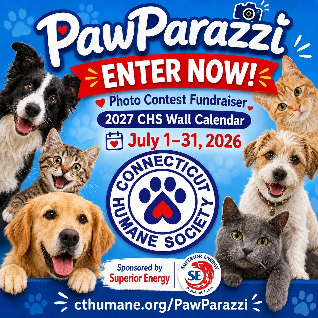 Here we go! PawParazzi starts TODAY! 🐾 📸

Superior Energy is proud to sponsor the @cthumanesociety&rsquo;s annual PawParazzi Photo Contest &amp; Fundraiser, happening July 1&ndash;31, 2026.

Enter your pet before July 31 for a chance to be featured