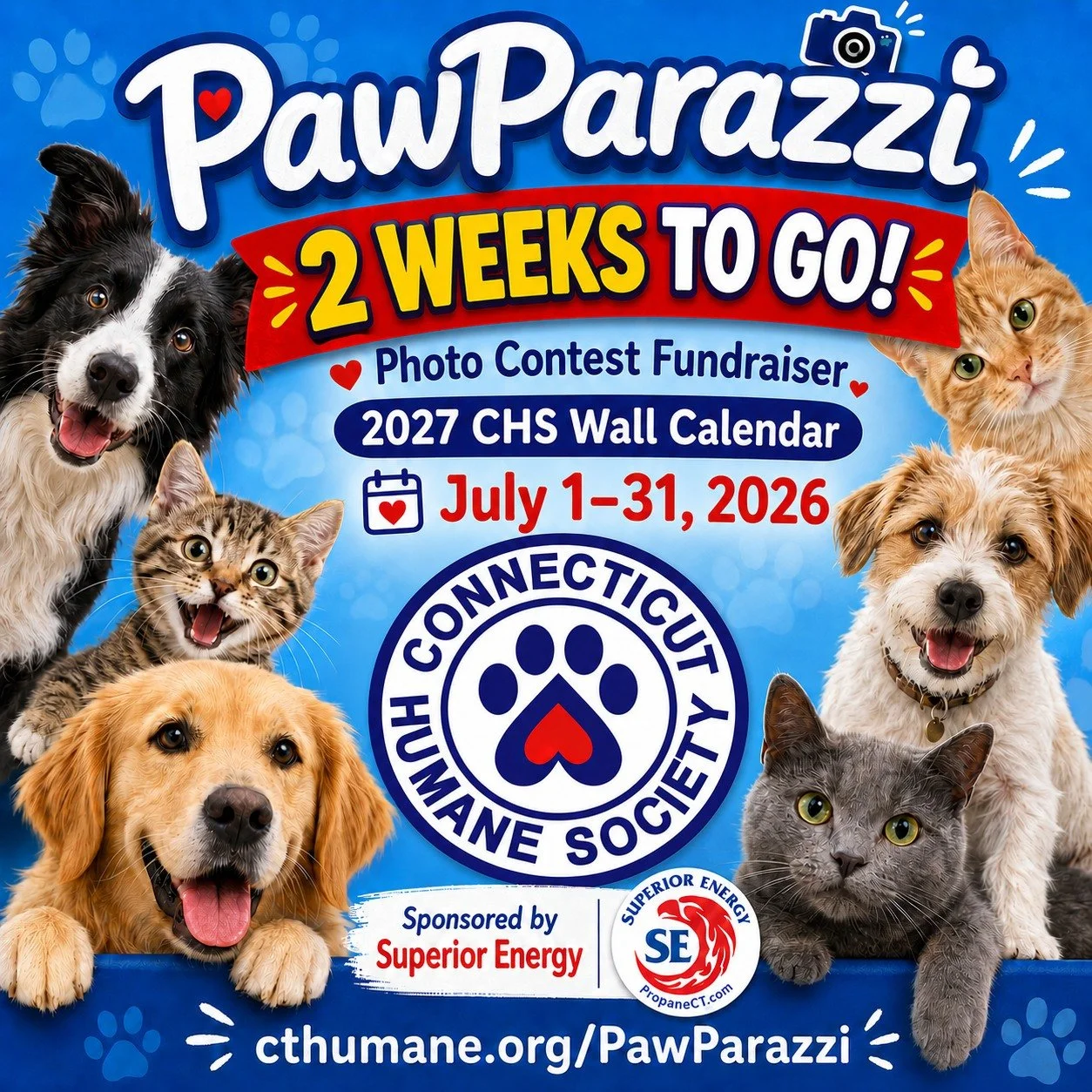 Two weeks left for PawParazzi! 🐾📸

Superior Energy is proud to sponsor the @cthumanesociety&rsquo;s PawParazzi Photo Contest &amp; Fundraiser because every pet deserves their moment in the spotlight. 

There are so many ways to join the fun:

📸 En