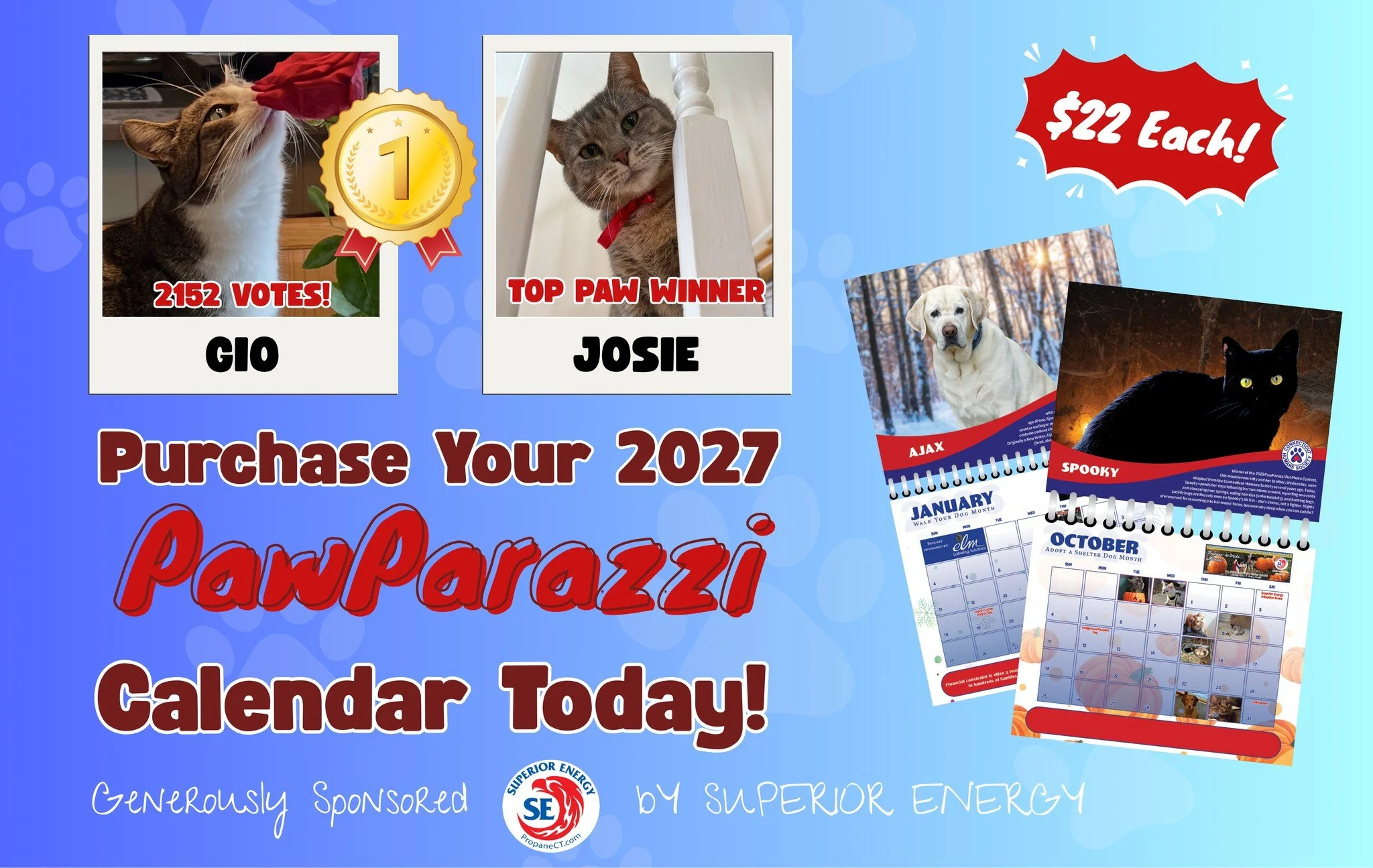 Thank you to everyone who participated in PawParazzi and helped support pets in need! 🐾💙

Because of you, this year&rsquo;s fundraiser raised more than $46,000 to help care for the pets served by the @cthumanesociety  making it the best year yet! ?