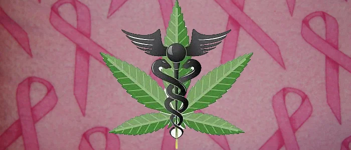 the apothecarium las vegas a recreational and medical cannabis dispensary discusses cannabis in treating the symptoms of breast cancer