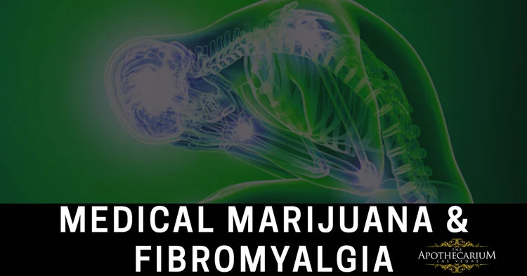 Learn more about medical marijuana and fibromyalgia and how our members manage their pain.