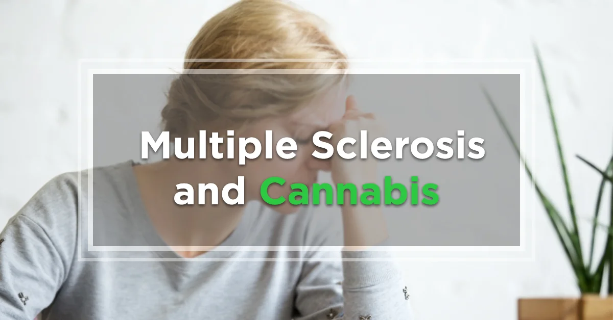 the apothecarium las vegas a recreational and medical cannabis dispensary discusses multiple sclerosis and marijuana 