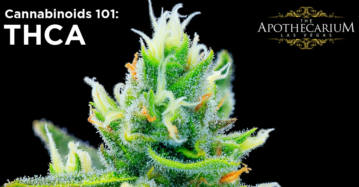 thca_blog_website.jpg