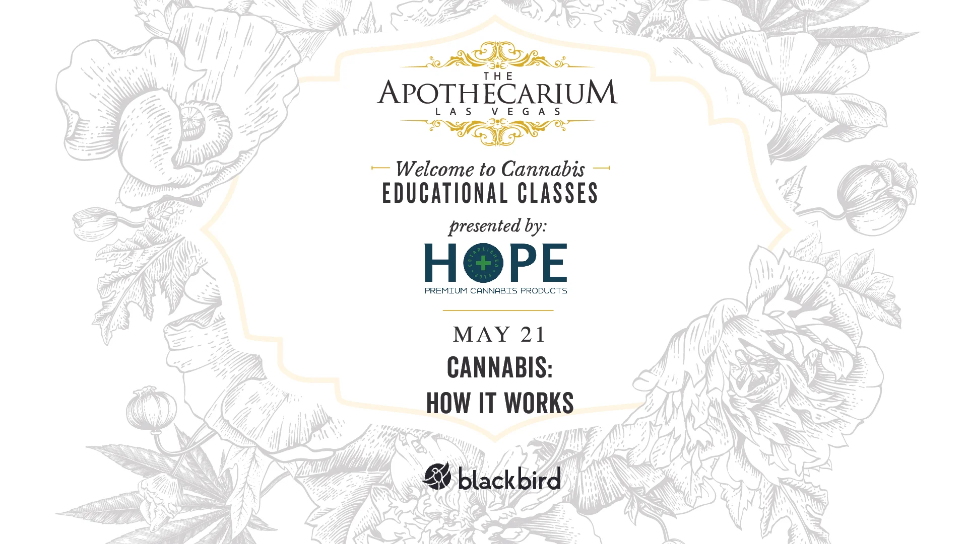 APNV_Event Header Education-04.jpg