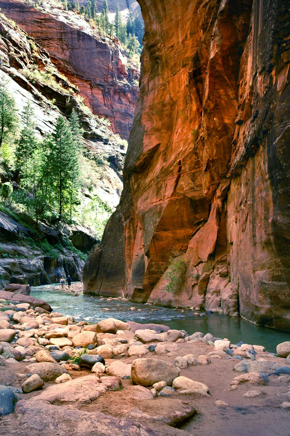 420Zion adj.jpg