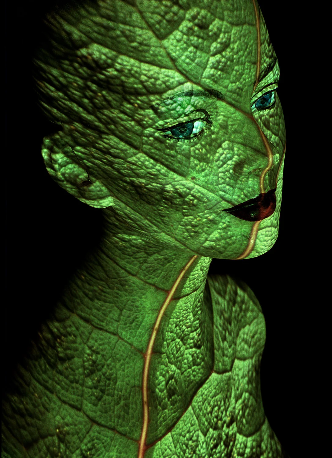 Leaf Lady ws.jpg