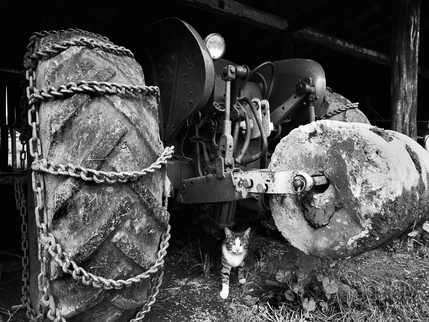 cat tractor 5-89 ws.jpg