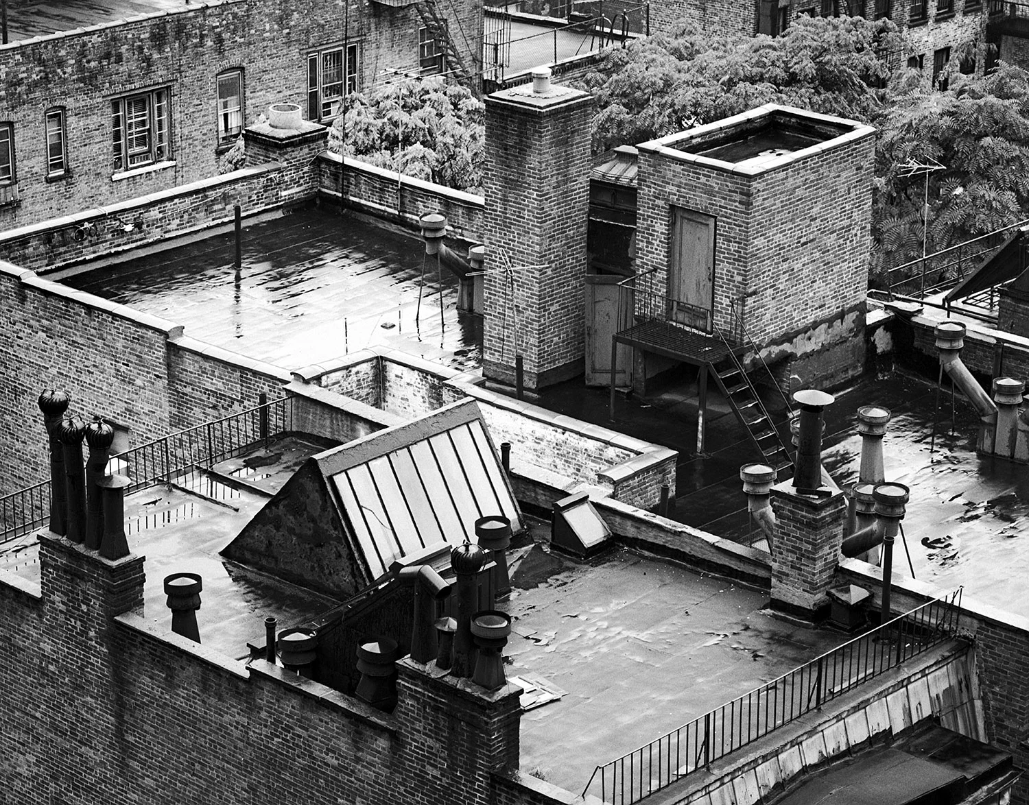 Manhattan Rooftop ws.jpg