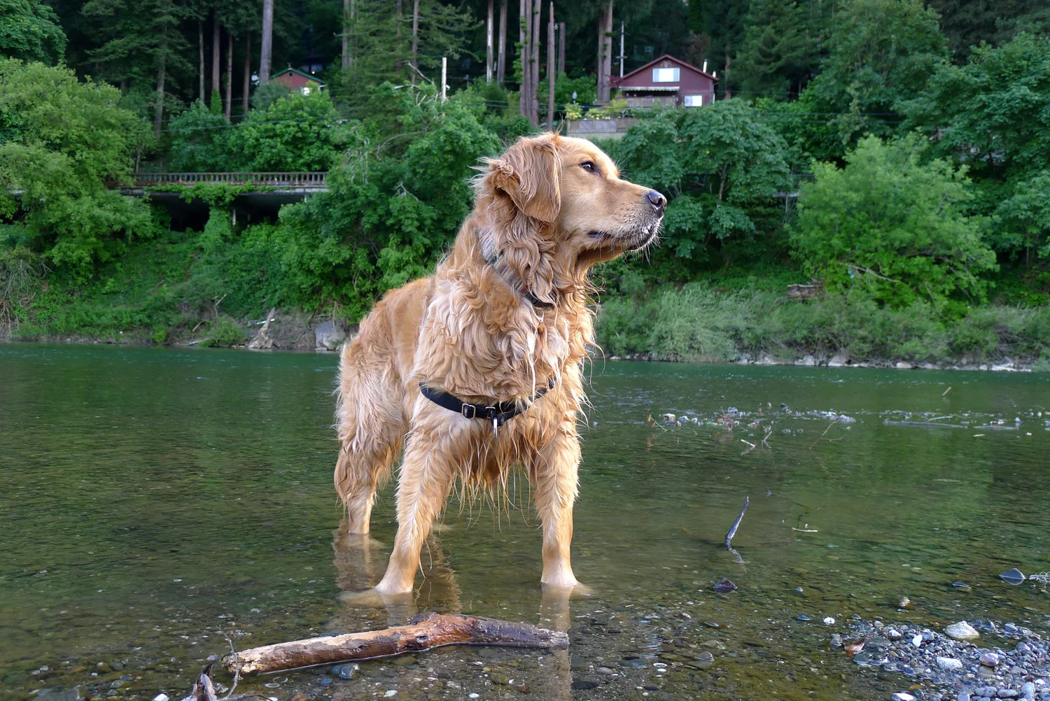 P1000539.jpg