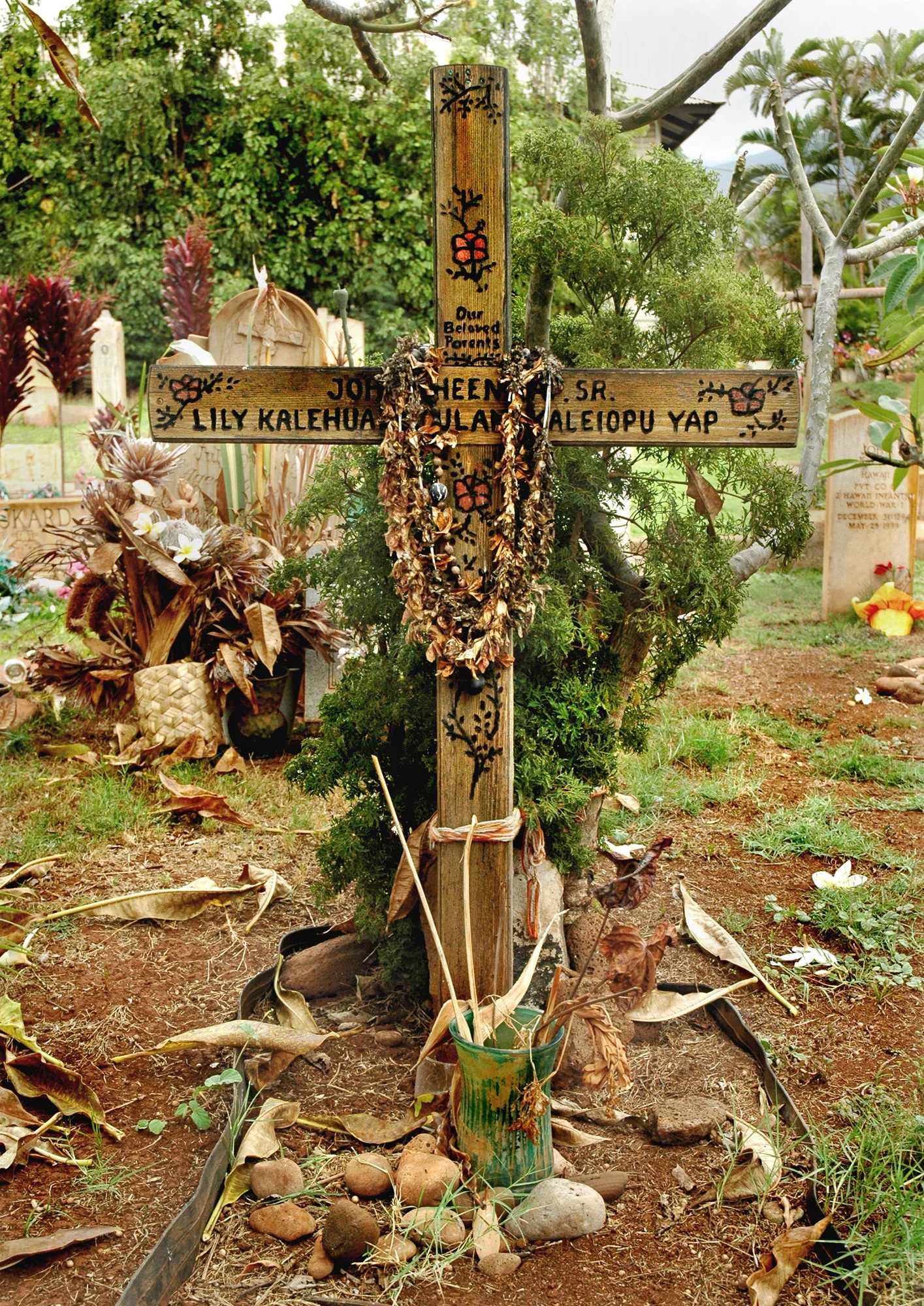 DSC_0446maui med.jpg