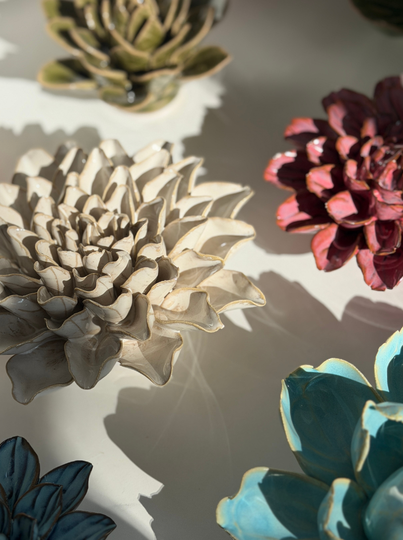 Bloom Unapologetically