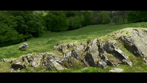 tre.gif