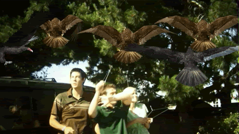 tre.gif