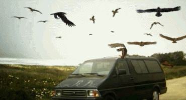 tre.gif