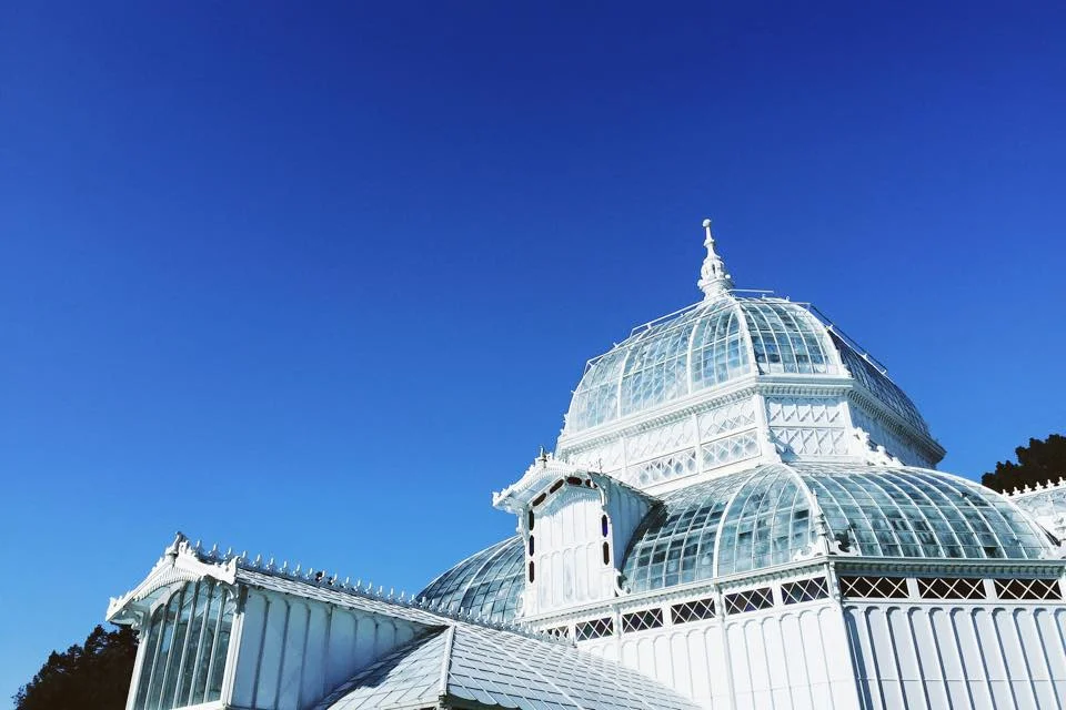 Conservatrium of Flowers.jpg