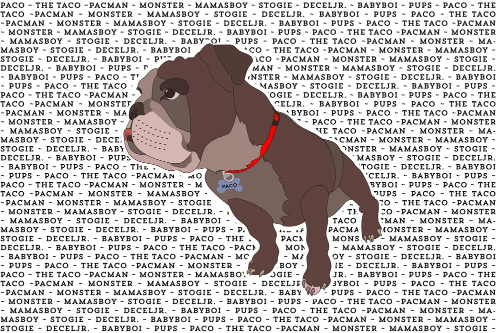 Paco+Taco+Dog+3x2-01.jpeg