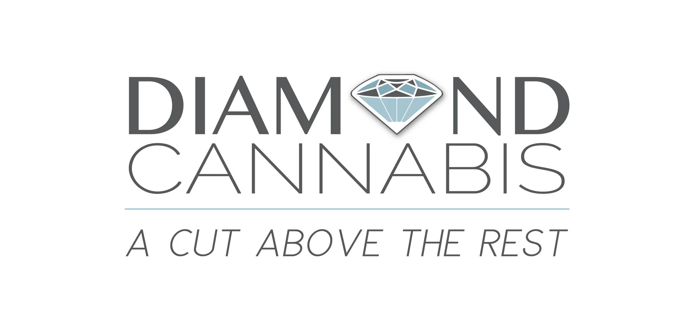 FB Cover Photo DC Logo Rectangle_3_2017_Sign Final.jpg