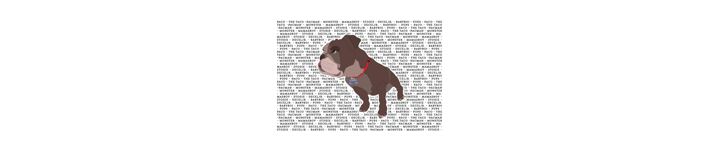 Paco the Taco Dog WIDE-01.png