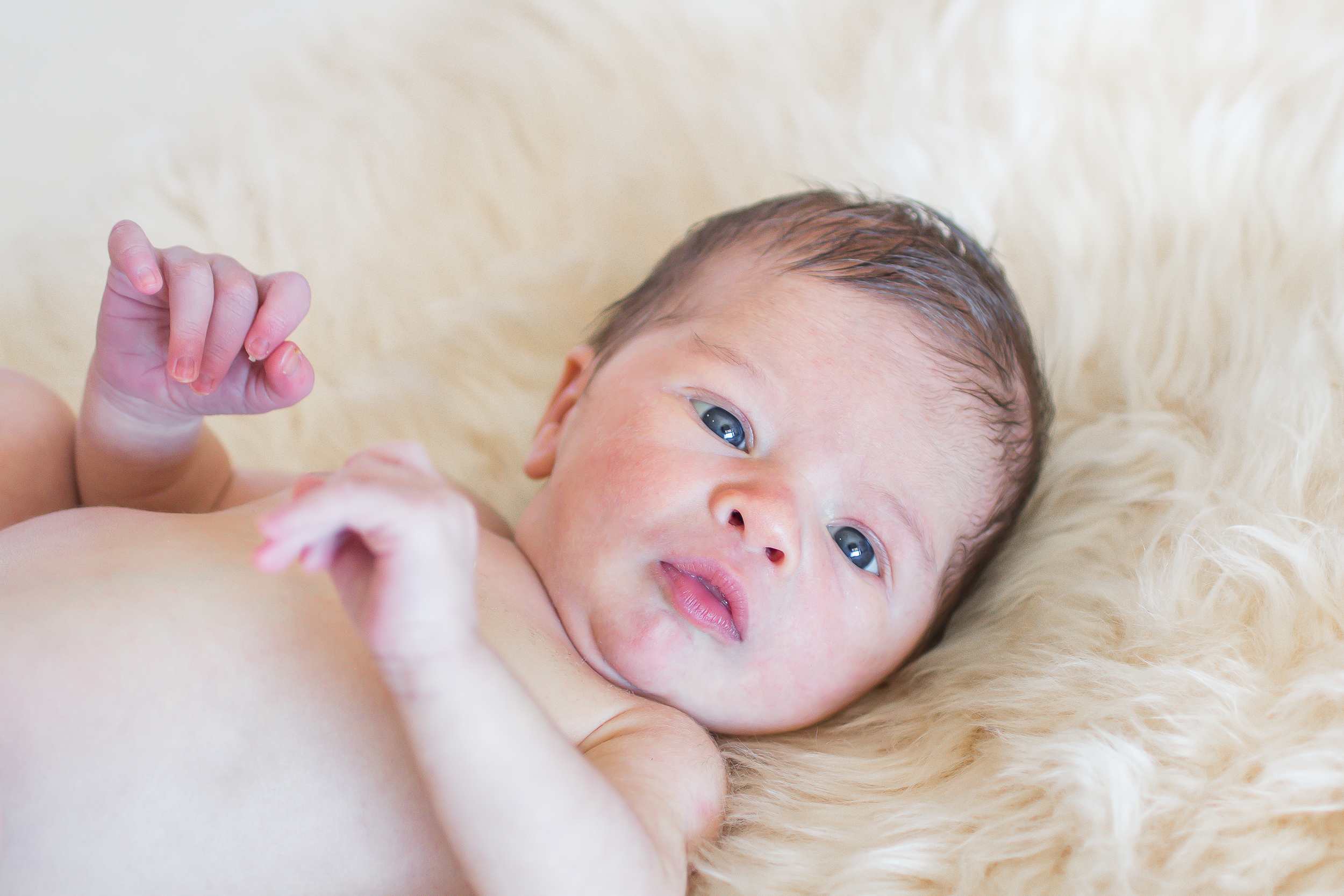 NewbornShootExample-39.jpg