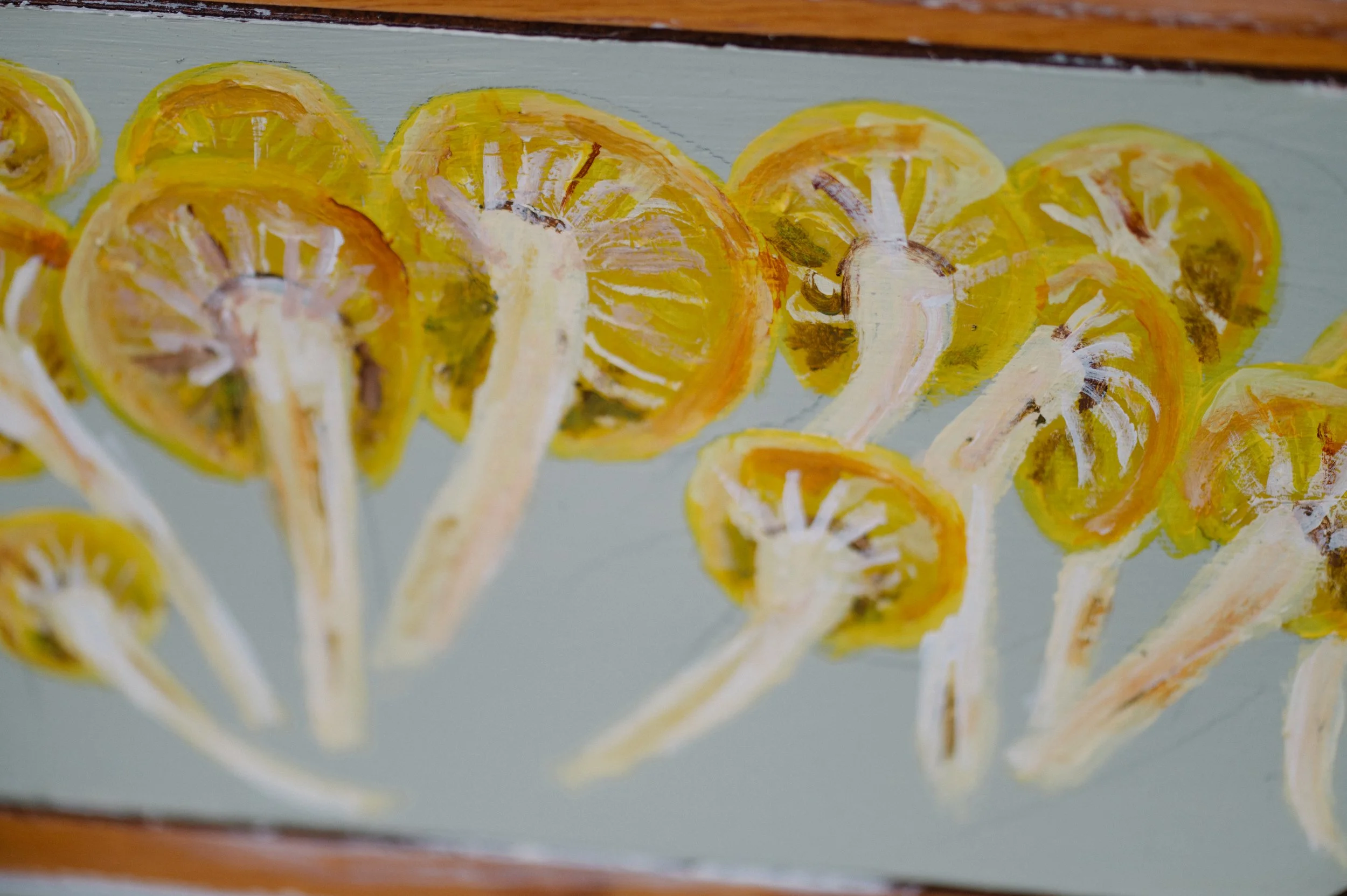DSC_3129.jpg
