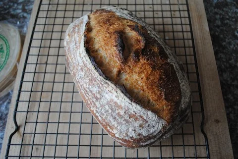 Sprouted Wheat Country Bread