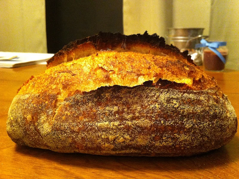 An Experiment - Spelt Country Levain