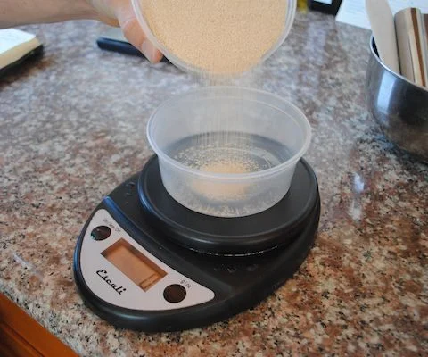 yeast_scale.jpg