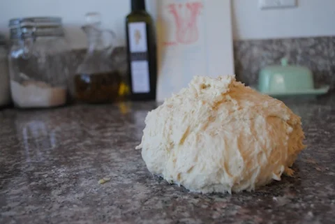 The dough just after incorporation of the ingredients. Note the shagginess.