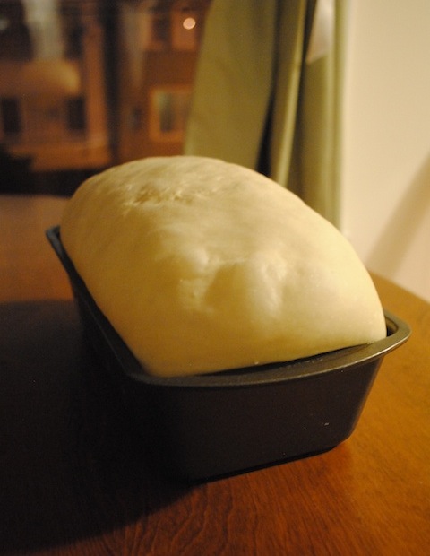 Fully-proofed Bread