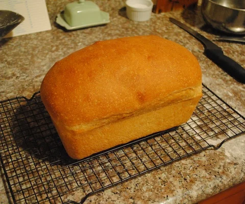Lesson 1: Your First Loaf