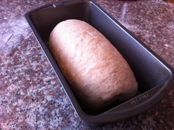 Just shaped dough.