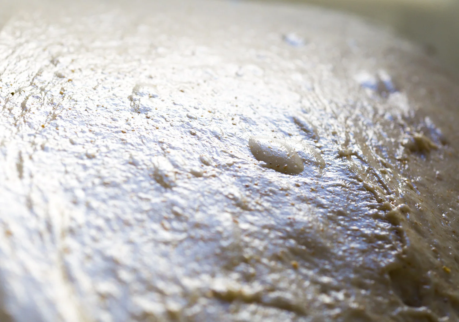 Bread FAQ Part 2: What's your hydration?